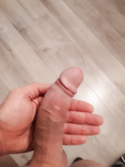IL MIO PALO...