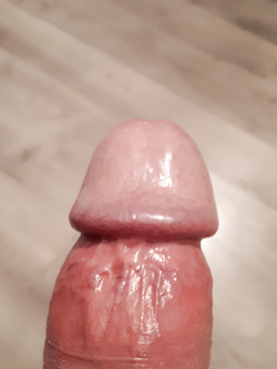 IL MIO PALO...
