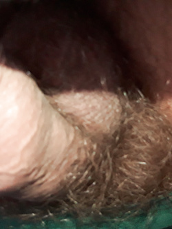 Vogliosamente arrapato