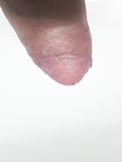 È grande o piccolo?