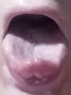 La mia bocca piena di nettare caldo