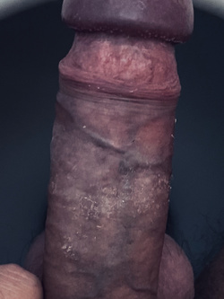 Pelato