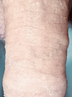 Pelato