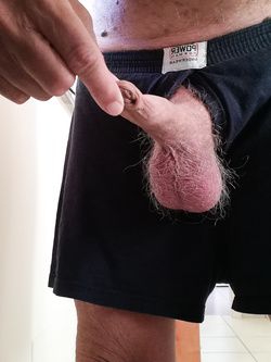 Piacevoli sollazzi