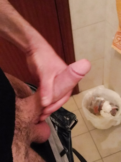 porco,,,sempre