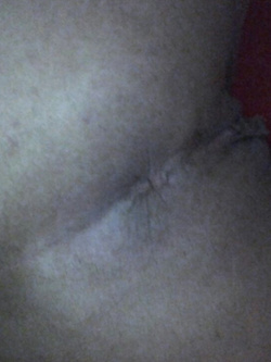 La troia 8