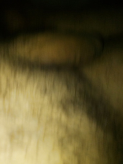 foto  torocaldo