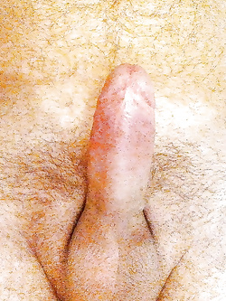 Il mio Pisello