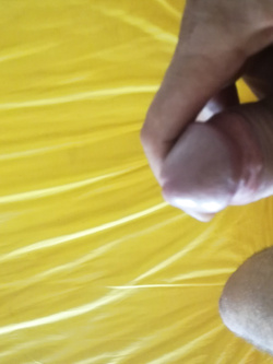 Il mio uccello Parte 2