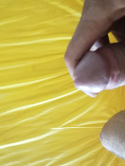 Il mio uccello Parte 2