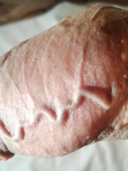 un cazzo...con le radici!