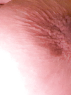 Capezzolo porcello...