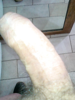 le prime foto....e poi mi aggiorno............