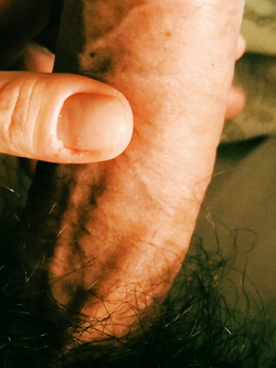 Il mio cazzo