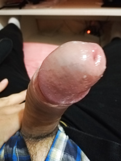 CAZZO VOGLIOSO