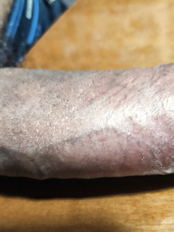 Il mio cazzone moscio servito sul tavolo