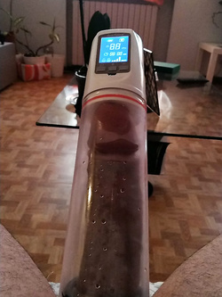 Mi sego o non mi sego?