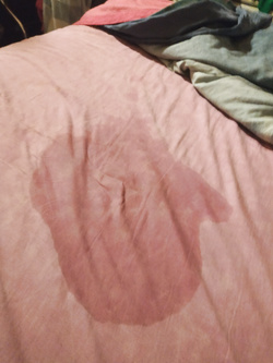 due o tre vecchi pervertiti