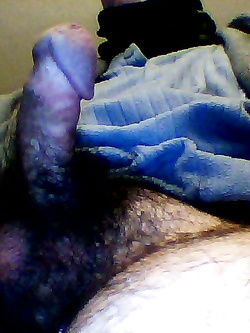 il mio cazzo per tutte voi