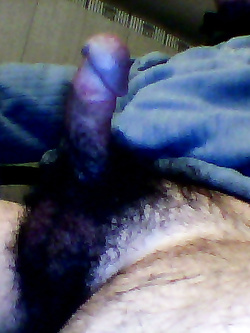 il mio cazzo per tutte voi