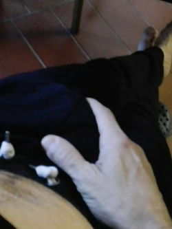 ... Parte 5