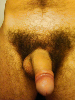 Il mio cazzo è a tua disposizione