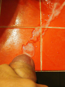 Il mio cazzo è a tua disposizione