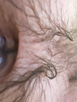 Foto del mio culo aperto