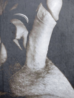 cazzo 19000