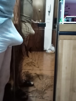 Vedo o non vedo