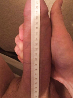 Foto del
