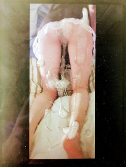 Tributo a cazziperlei