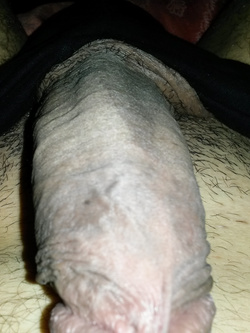 Estate 2020 l'arnese