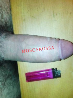 Mi sono iscritto per fare conoscenze e scopate