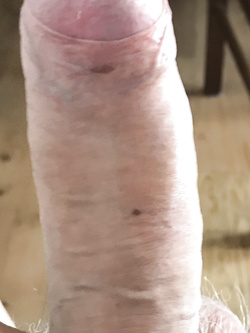Mattarello