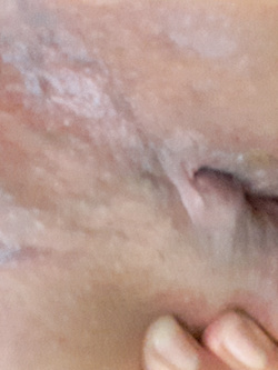 Voglia