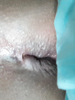 Voglia