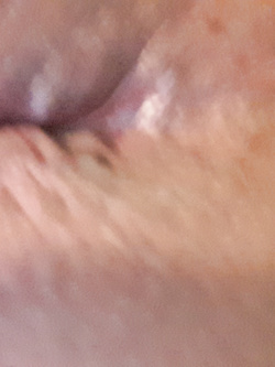 Voglia