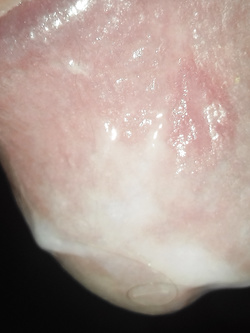 Il mio amico Parte 2 Parte 2