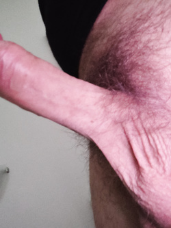 Il mio cazzo
