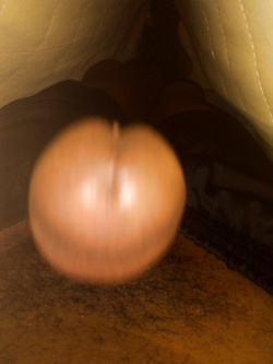 Cazzo mulatto