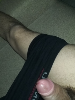Noia1