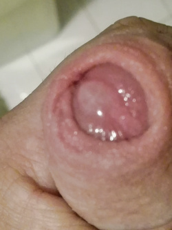 Il mio cazzo.