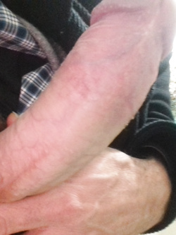 Ancora il mio cazzo Parte 2