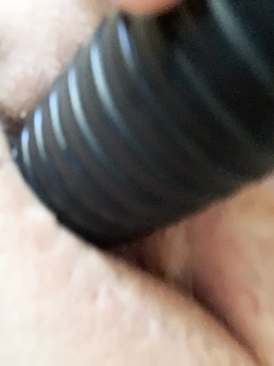 Troia vogliosa