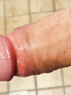 Il mio maschio