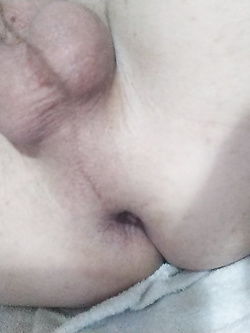 Io troia vogliosa
