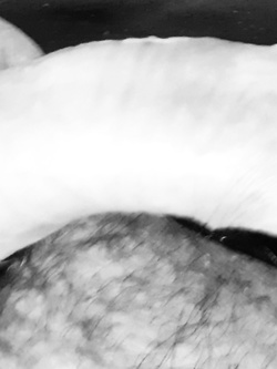 Mie foto