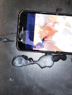 Tributo a moglie troia