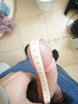 L' onestà  prima di tutto